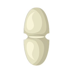 Capsule  Icon