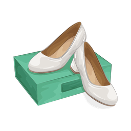 Shoe box  Icon