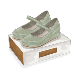 Shoe box  Icon