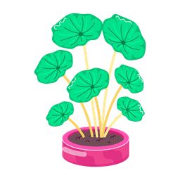 Centella Asiatica  Icon