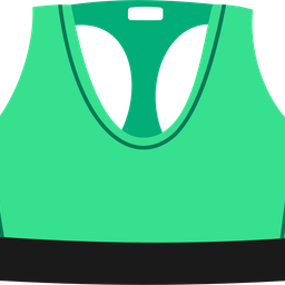 Sports Bra  Icon