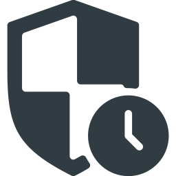 Security  Icon