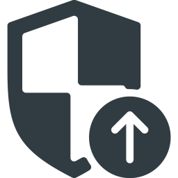 Security  Icon