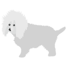 Bichon Frise  Icon