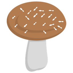 Edible Mushroom  Icon