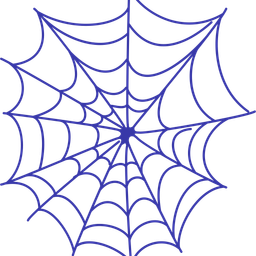 Spider Web  Icon