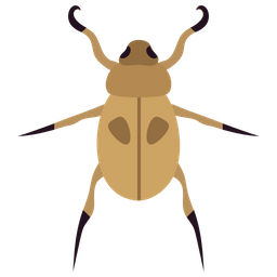 Beetle  Icon