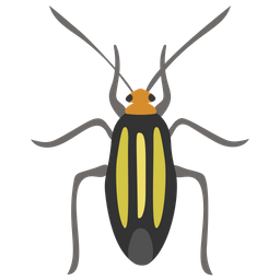 Beetle  Icon