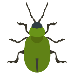 Beetle  Icon