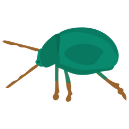 Beetle  Icon