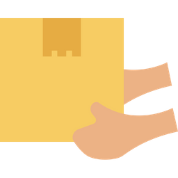 Box In Hand  Icon