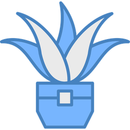 Aloe vera  Icon