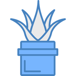 Aloe vera  Icon