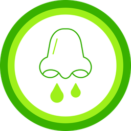 Congestion Pollen  Icon