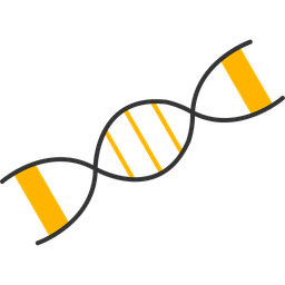 Dna  Icon