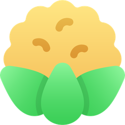 Cauliflower  Icon