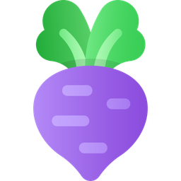 Beetroot  Icon