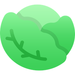 Cabbage  Icon