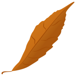 Feuille d'automne  Icône