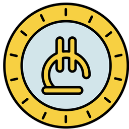 Lari  Icon