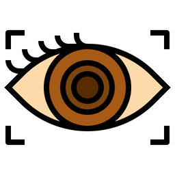 Eye  Icon