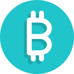 Bitcoin Sign  Icon