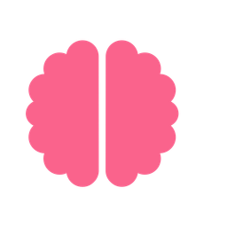 Brain  Icon