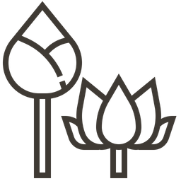 Lotus  Icon