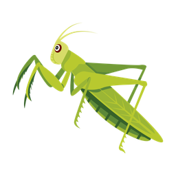 Mantis  Icon