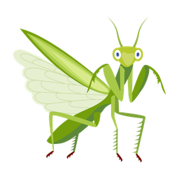 Mantis  Icon