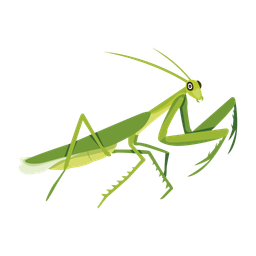 Green Mantis  Icon