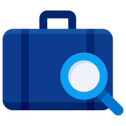 Inspection  Icon