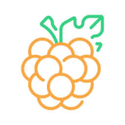 Berries  Icon