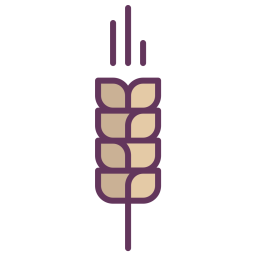 Corn  Icon