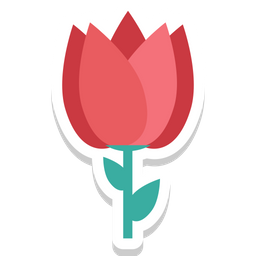 Flower  Icon