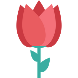 Flower  Icon