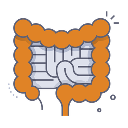 Intestines  Icon