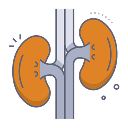 Kidneys  Icon