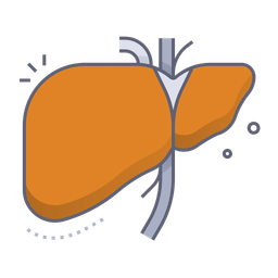 Liver  Icon