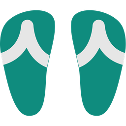 Flip Flops  Icon