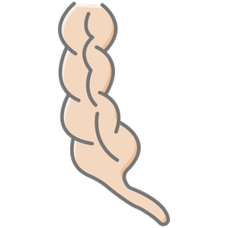 Appendix  Icon