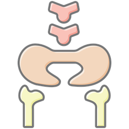 Hüftknochen  Symbol