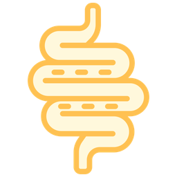 Intestines  Icon