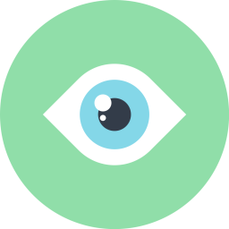 Eye  Icon